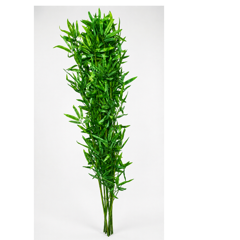 UB MEDIUM BAMBOO PLANT