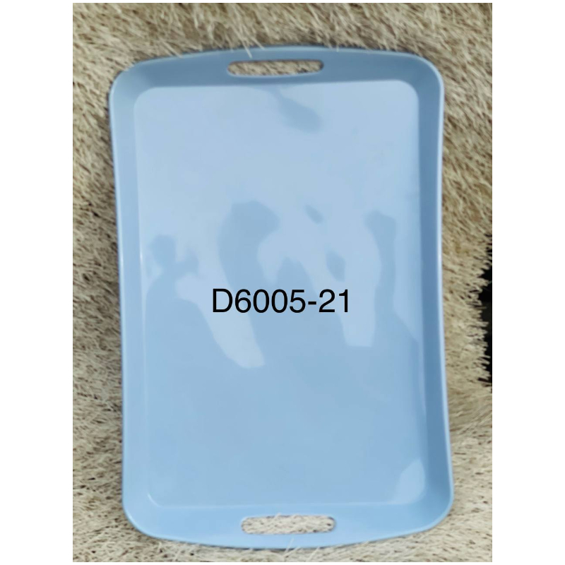 RG D6005-21