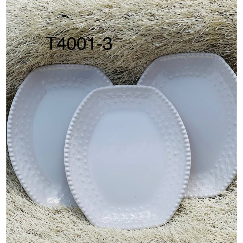 RG T4001-3 PLATE