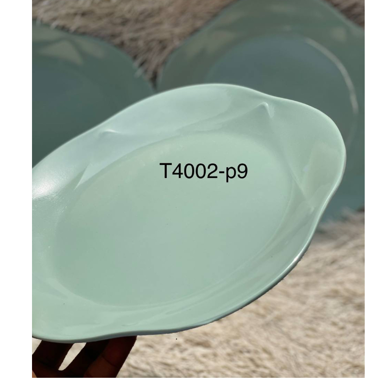 RG T4002-P9 PLATE