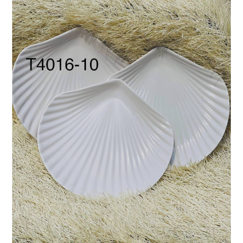RG T4016-10 PLATE