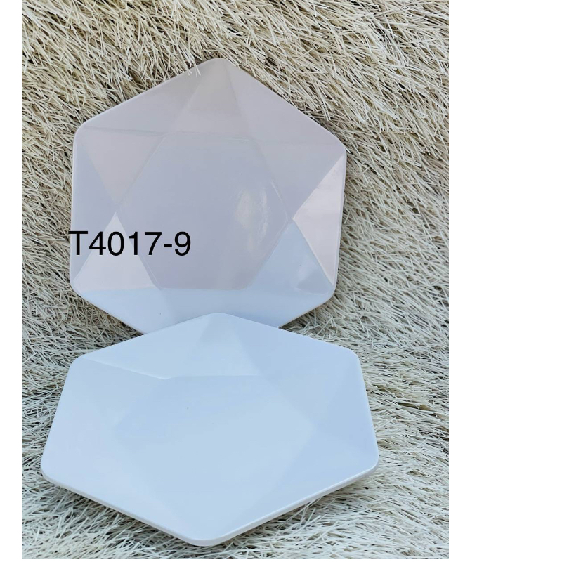 RG T4017-9 PLATE