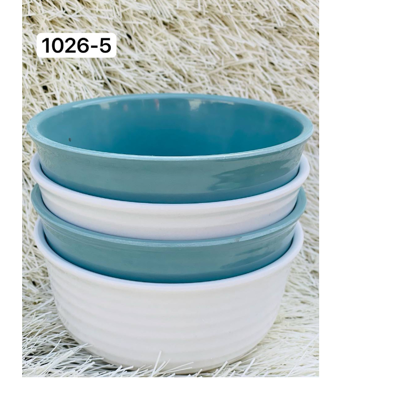 RG W1026-5 PLATE