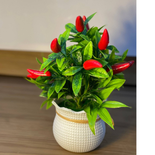Mini White woven flower pot with gold ribbon