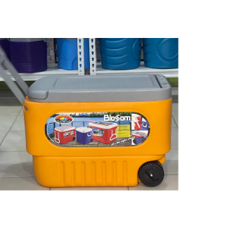 Celplas Blossom cooler
