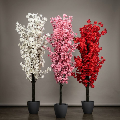 UB Cherry blossom tree