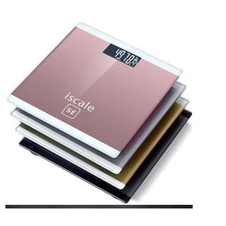 Electronic bathroom scale