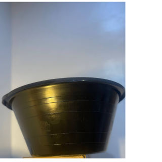 Leeno black elephant bowl D2M